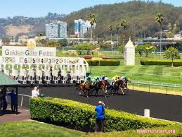 Golden Gate Fields Trip Packages