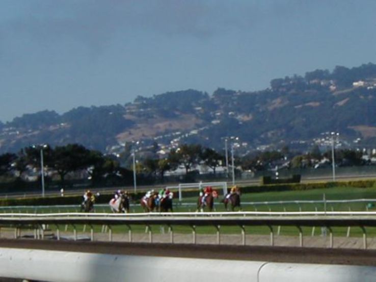 Golden Gate Fields Trip Packages