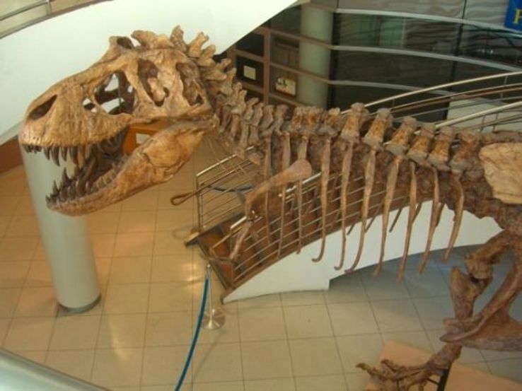 University of California Museum of Paleontology Trip Packages