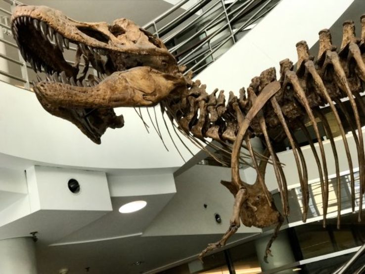 University of California Museum of Paleontology Trip Packages