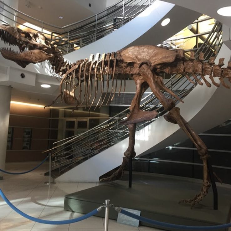 University of California Museum of Paleontology Trip Packages