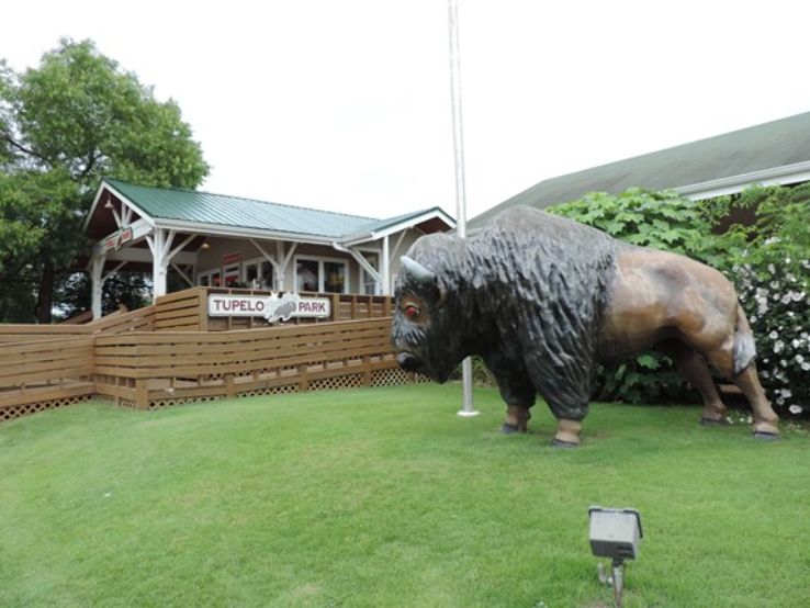 Tupelo Buffalo Park and Zoo, mississippi, United States Of America