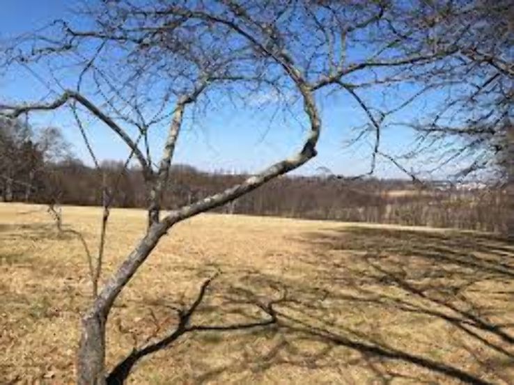 Governor Hutchinsons Field Trip Packages