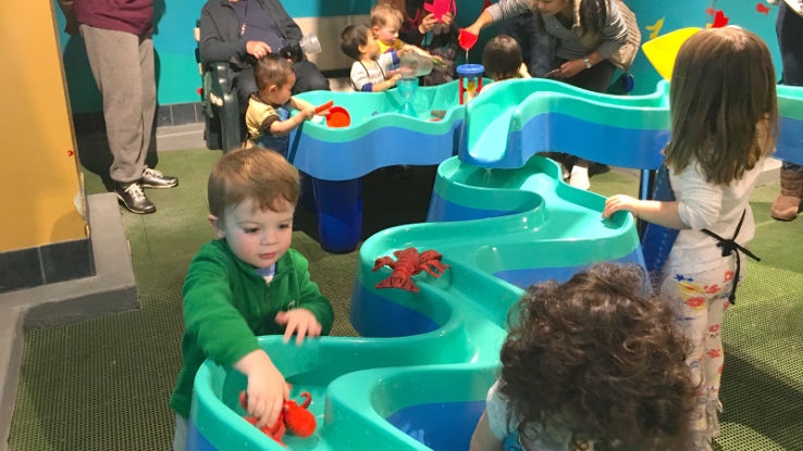 Habitot Childrens Museum Trip Packages