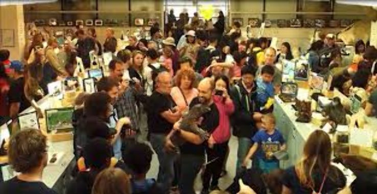 Museum of Vertebrate Zoology Trip Packages