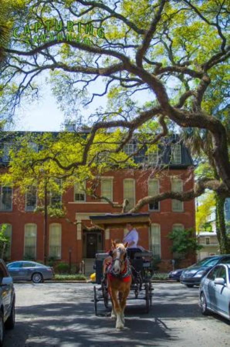 Capturing Savannah Photography Walking Tours Trip Packages