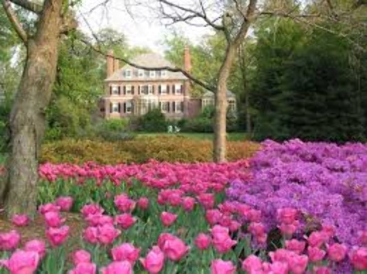 Sherwood Gardens Trip Packages