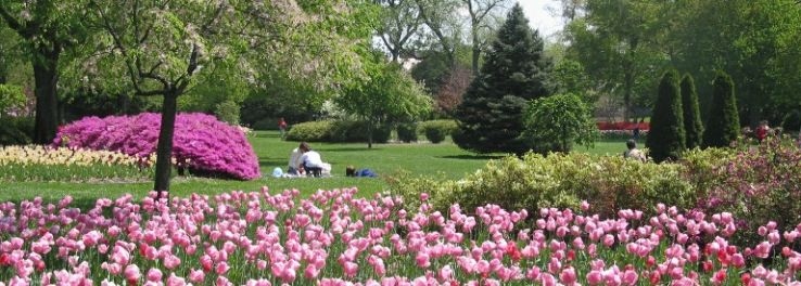 Sherwood Gardens Trip Packages