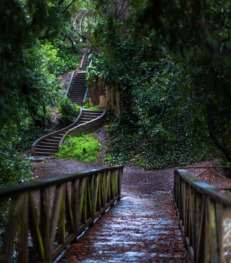 Codornices park Trip Packages