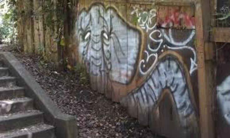 Codornices park Trip Packages