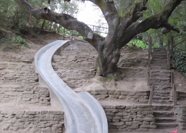 Codornices park 2021, #6 top things to do in berkeley, california, reviews, best time to visit ...