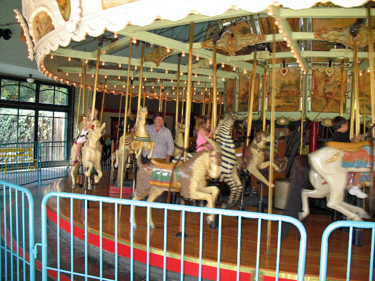 Tilden Park Merry-Go-Round Trip Packages