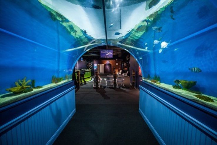 Greater Cleveland Aquarium Trip Packages
