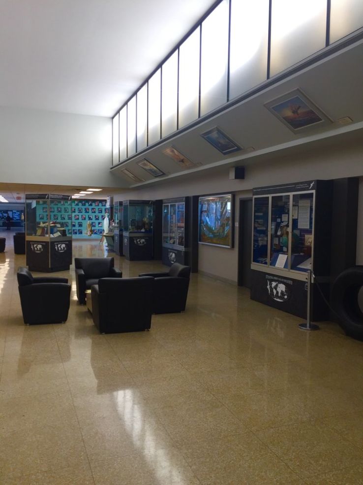 International Womens Air and Space Museum Trip Packages