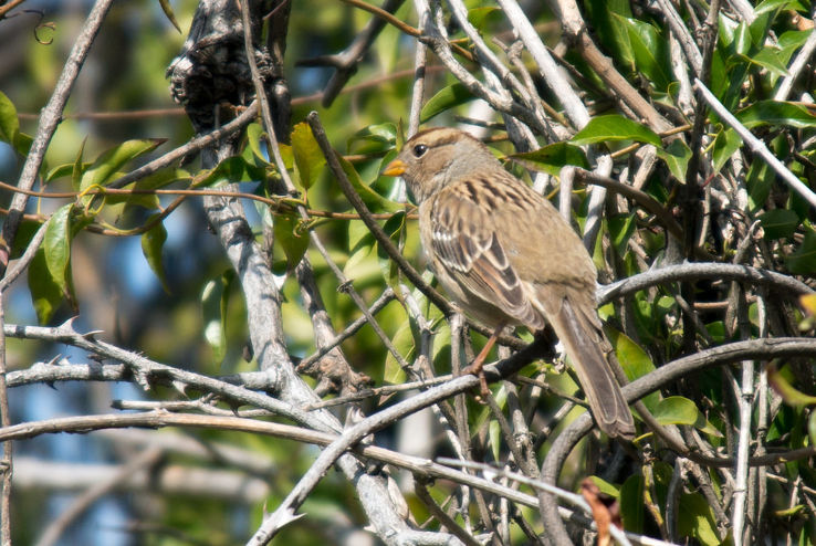 Ohlone Park Trip Packages