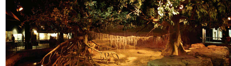 Cleveland Metroparks Zoo Trip Packages