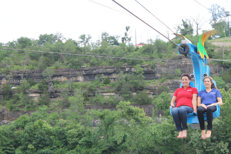 Adventure Ziplines of Branson Trip Packages