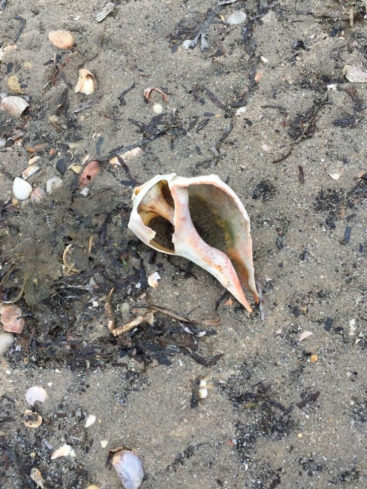 Orient Trip Packages