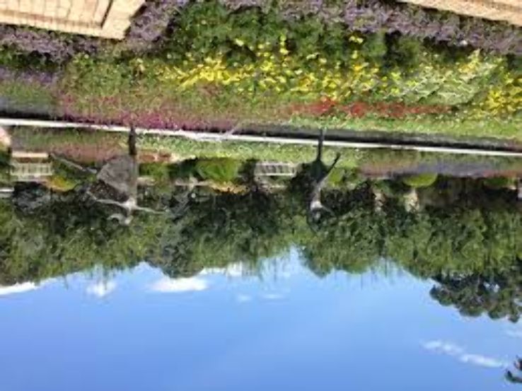 Ewing and Muriel Kauffman Memorial Garden Trip Packages