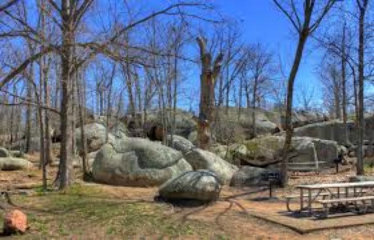 Antioch Park Trip Packages