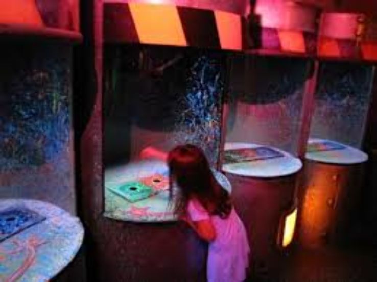 Kaleidoscope  Trip Packages