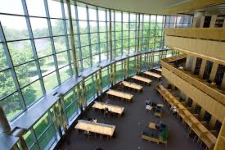 University of Michigan Trip Packages