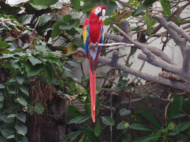 Oklahoma City Zoo Trip Packages