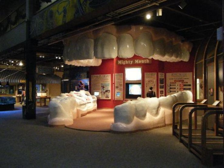 Science Museum Oklahoma Trip Packages