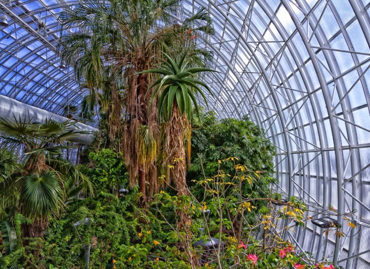 Myriad Botanical Gardens Trip Packages