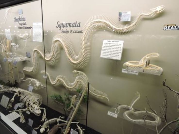 Museum of Osteology Trip Packages