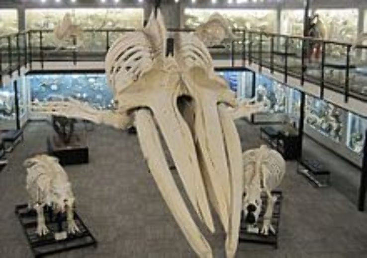 Museum of Osteology Trip Packages