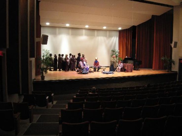 Flint Institute of Music Trip Packages