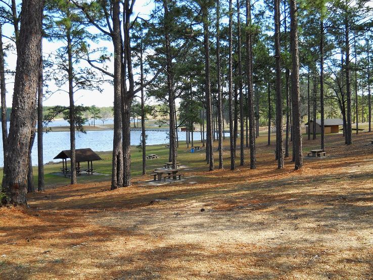 Bienville National Forest Trip Packages