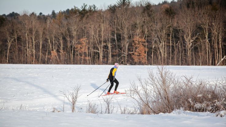 White Farm Trip Packages