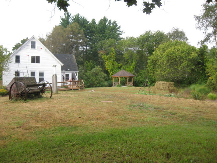 White Farm Trip Packages