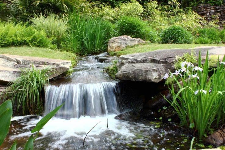 Take A Trip To Aldridge Gardens Trip Packages