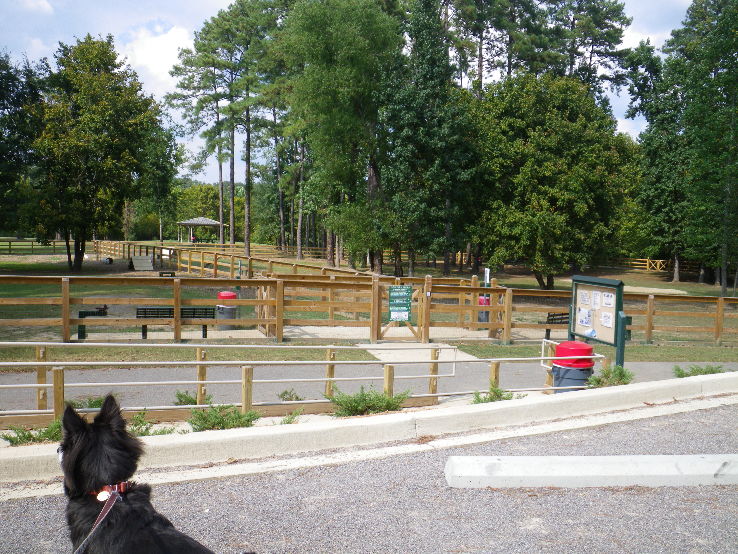 Treat Your Dog At Loch Haven Dog Park Trip Packages