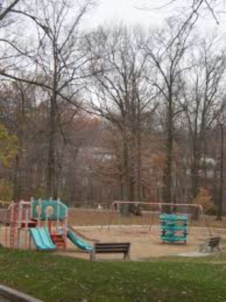 Roosevelt Park Trip Packages