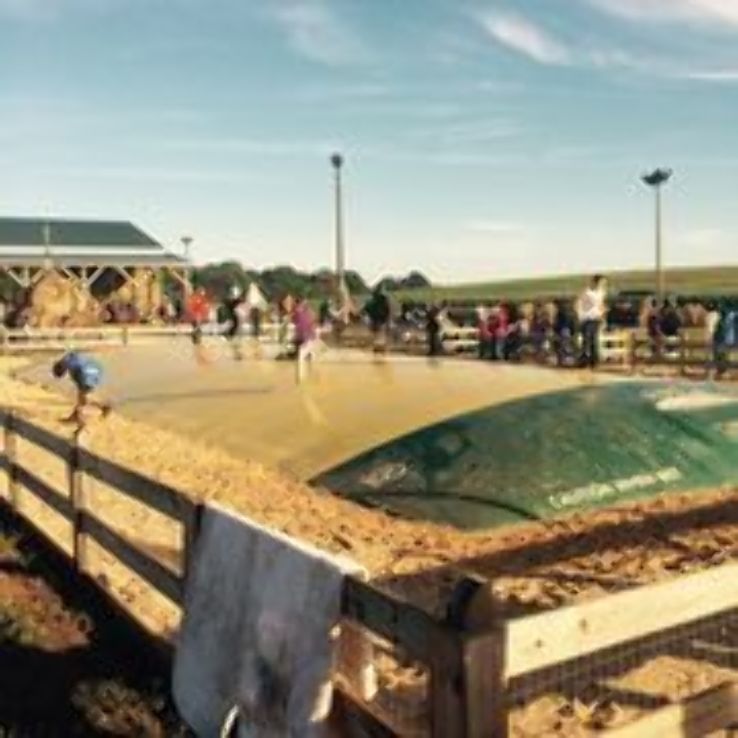 Denver Downs Farm Trip Packages