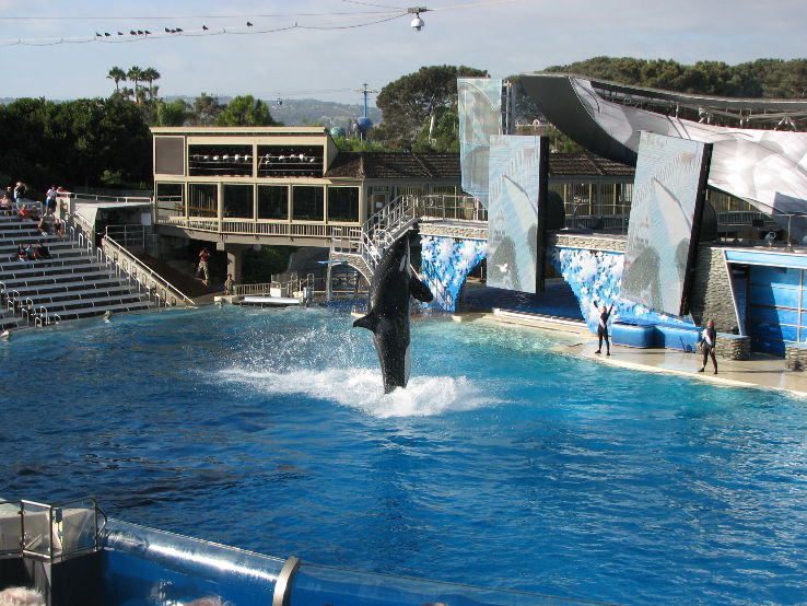 SeaWorld Trip Packages