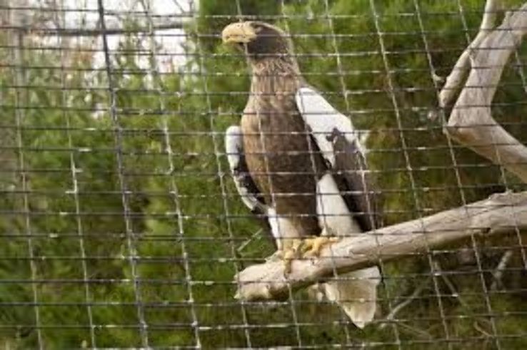 San Diego Zoo Trip Packages