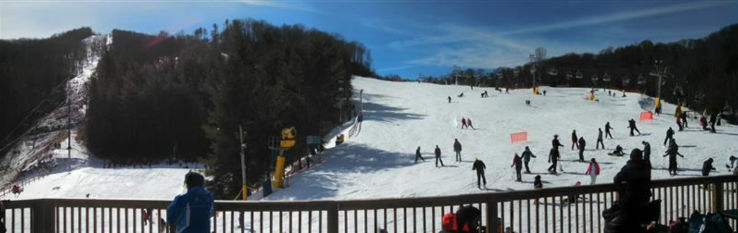 Cataloochee Ski Area Trip Packages