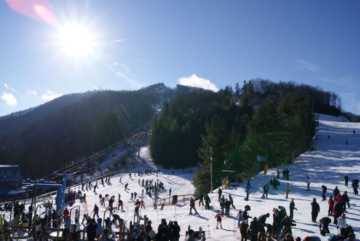 Cataloochee Ski Area Trip Packages