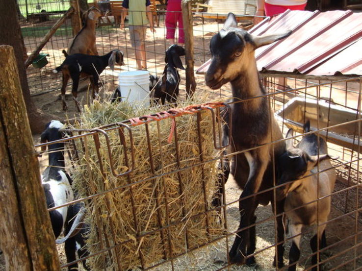 Split Creek Farm Trip Packages