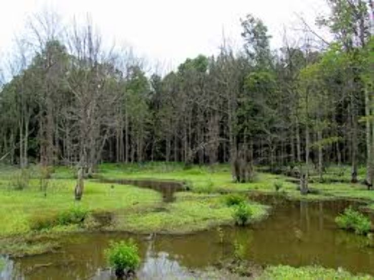 Huntley Meadows Park  Trip Packages