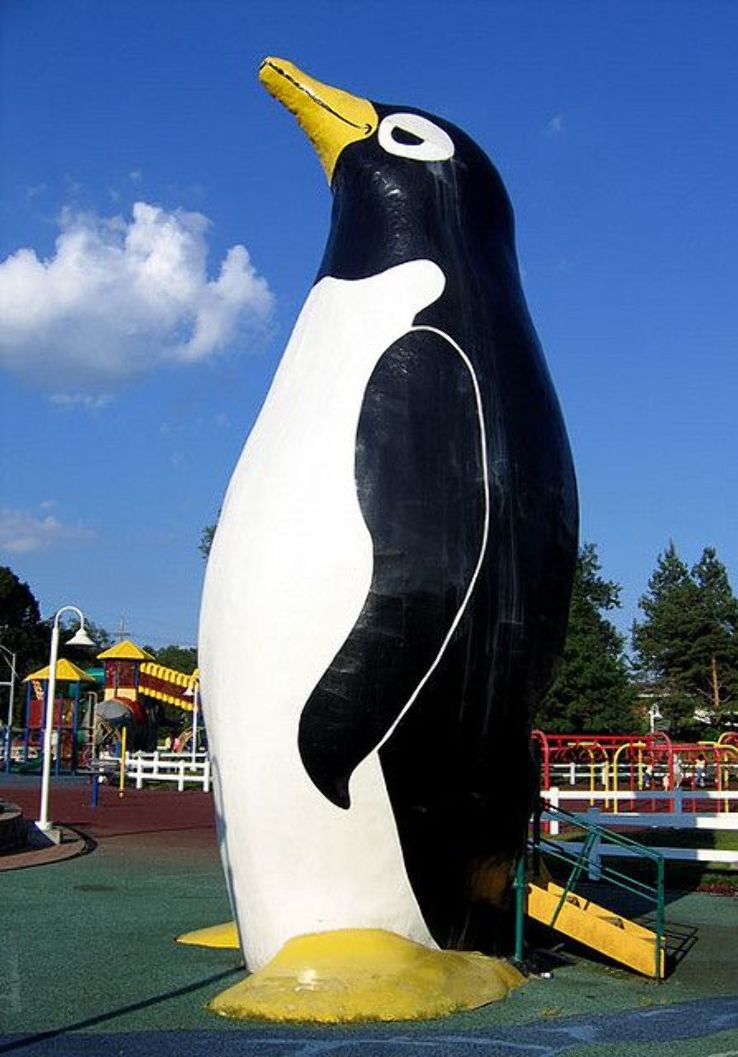 Penguin Park Trip Packages