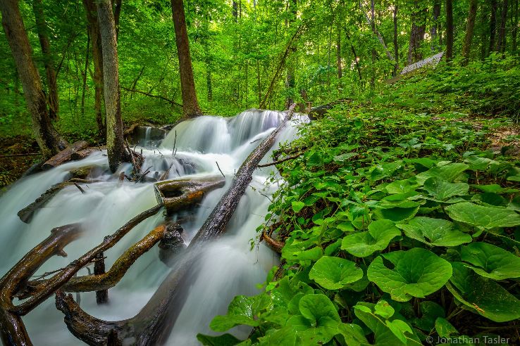 Parkville Nature Sanctuary Trip Packages