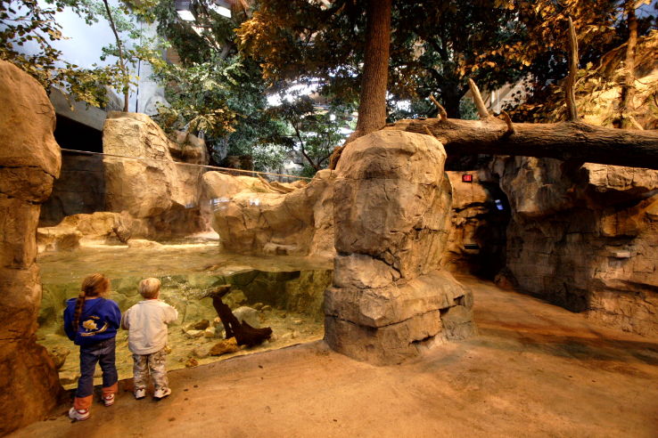 Wonders of Wildlife Museum & Aquarium Trip Packages