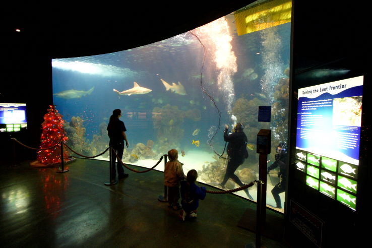 Wonders of Wildlife Museum & Aquarium Trip Packages