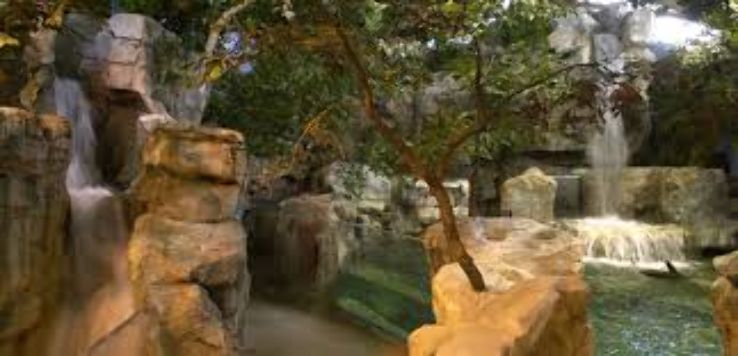Wonders of Wildlife Museum & Aquarium Trip Packages